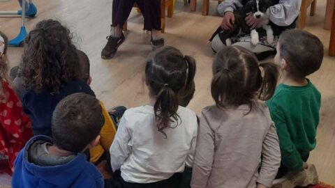 Δήμος Σερρών: Δράση ευαισθητοποίησης για την Παγκόσμια Ημέρα Αδέσποτων Ζώων