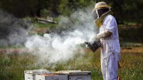 Λήψη προληπτικών μέτρων από μελισσοκόμους κατά την αντιπυρική περίοδο