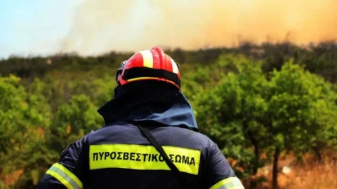 Μέτρα πυροπροστασίας και πρόληψης δασικών πυρκαγιών κατά την αντιπυρική περίοδο