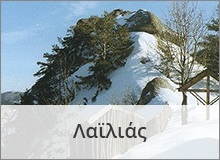 lailias
